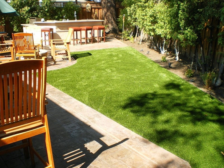 Synthetic Grass Dilley, Texas Pet Turf, Backyard Design