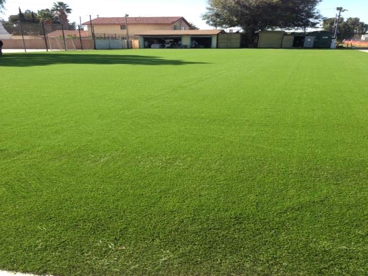Synthetic Grass Luling, Texas Rooftop, Recreational Areas