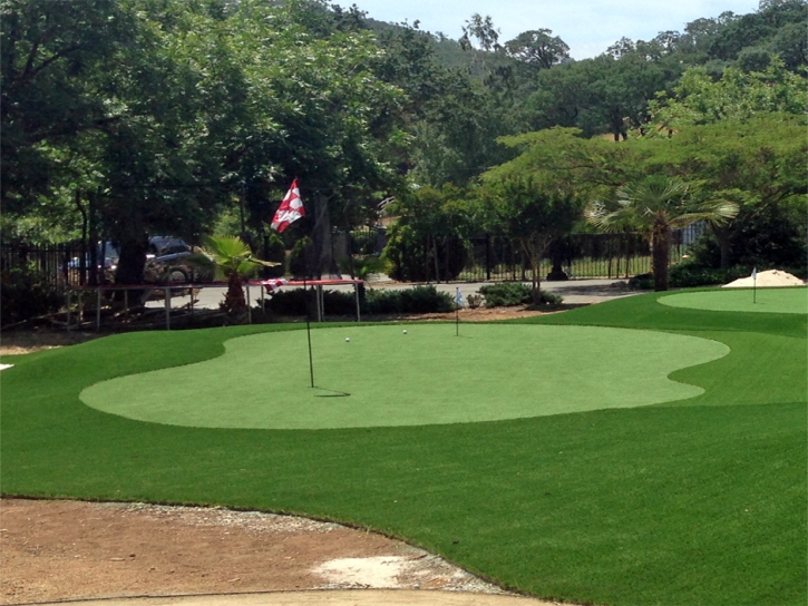 Synthetic Grass Mason, Texas Putting Green, Front Yard Ideas