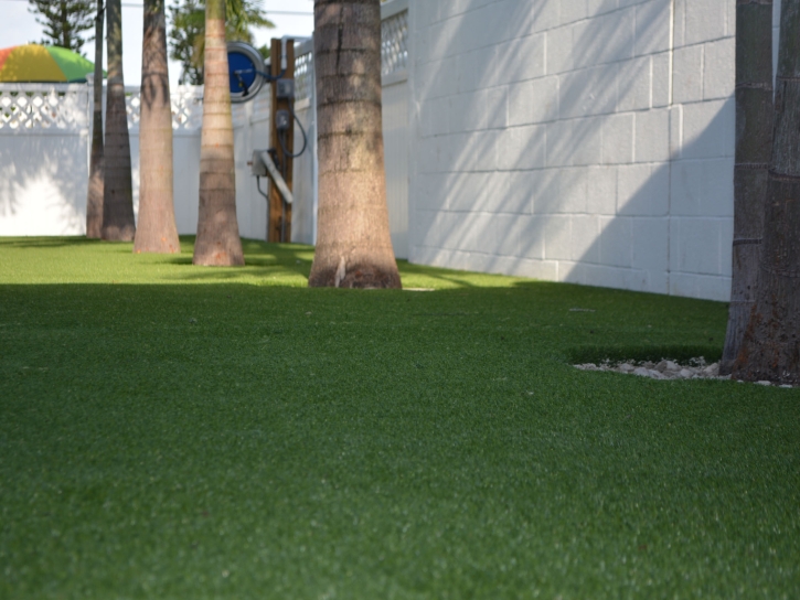 Synthetic Grass Nolanville, Texas City Landscape, Commercial Landscape