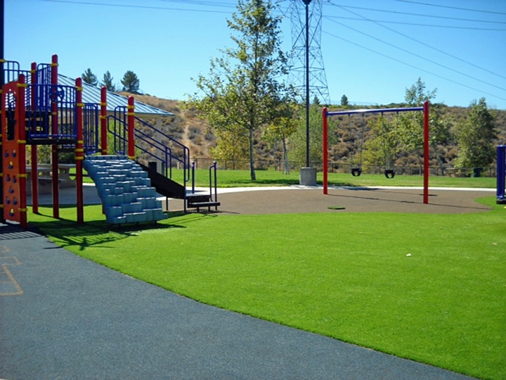 Synthetic Grass Runge, Texas Landscape Design, Recreational Areas