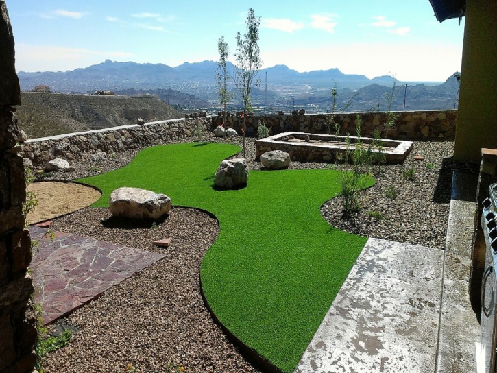 Synthetic Turf Burton, Texas Indoor Dog Park, Backyard Makeover