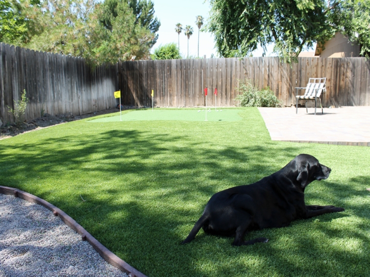Synthetic Turf Rancho Alegre, Texas Dogs, Small Backyard Ideas