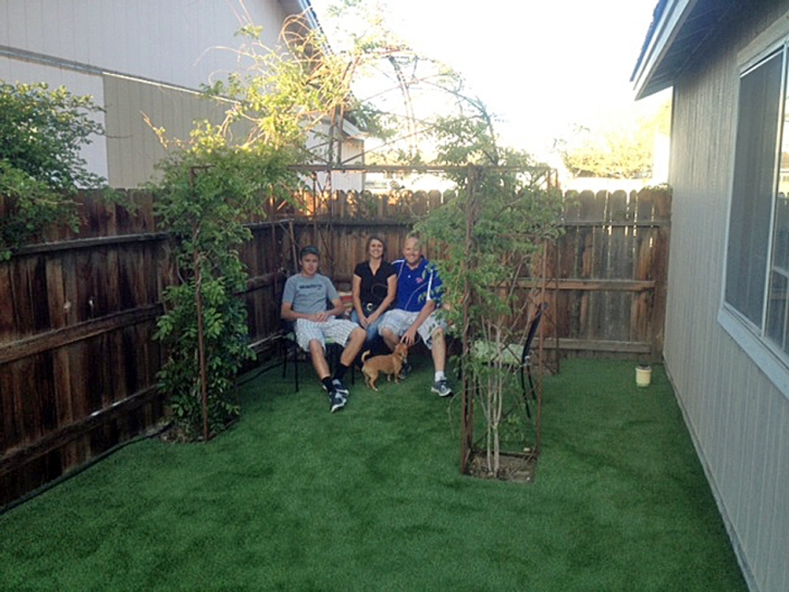 Synthetic Turf Supplier Geronimo, Texas Dogs, Backyard Garden Ideas