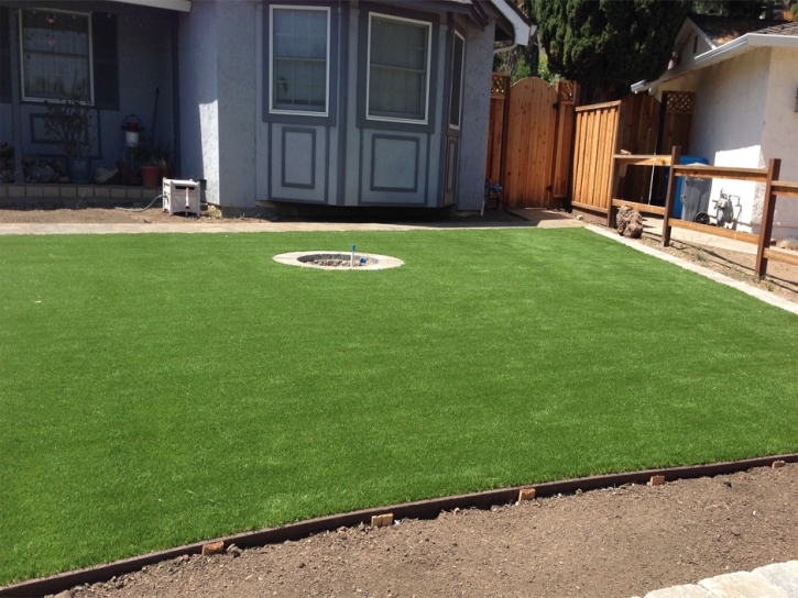 Synthetic Turf Supplier Kempner, Texas Gardeners, Beautiful Backyards