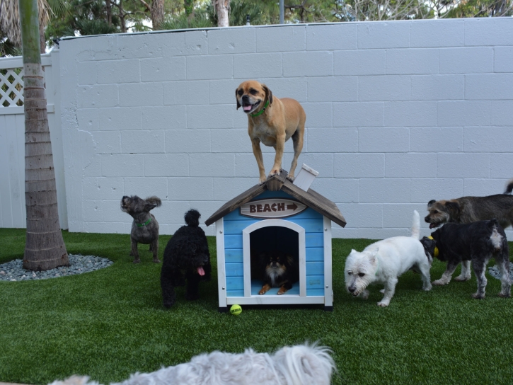 Synthetic Turf Supplier Radar Base, Texas Grass For Dogs, Dog Kennels