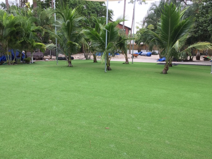 Synthetic Turf Supplier Rogers, Texas Lawn And Landscape, Commercial Landscape