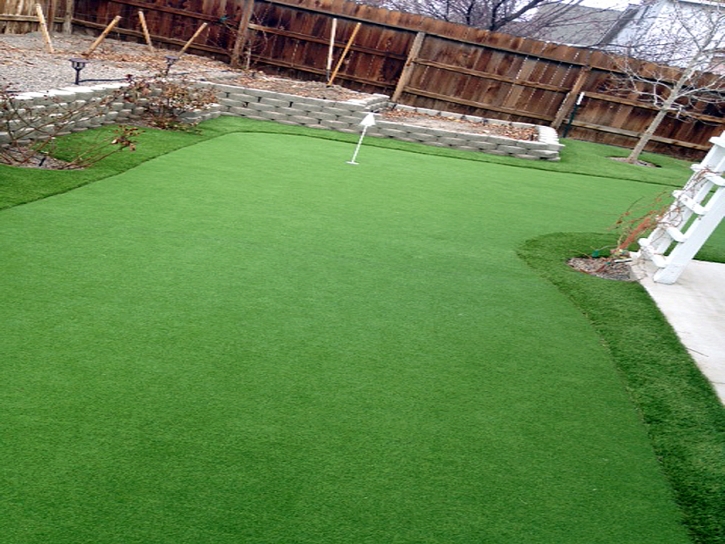Synthetic Turf Supplier Thrall, Texas Office Putting Green, Backyards